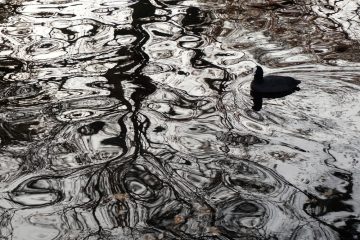 © Birthe Havmøller