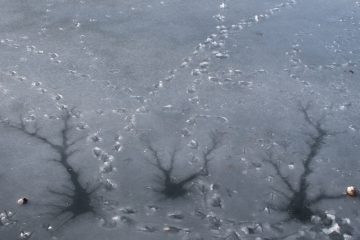 © Birthe Havmøller