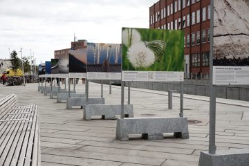 © Birthe Havmøller