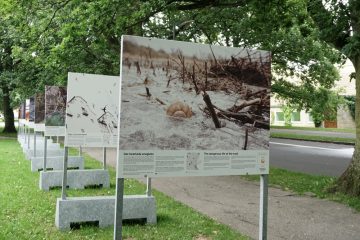 © Birthe Havmøller