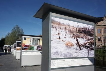 © Birthe Havmøller