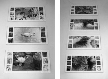 © Birthe Havmøller