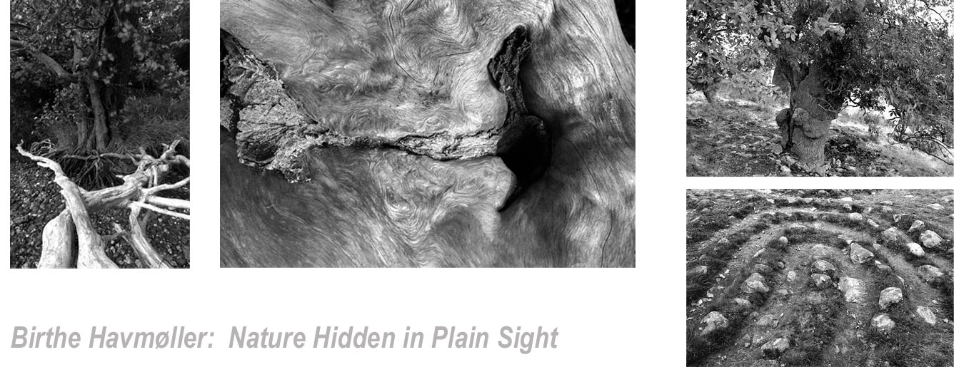 Nature_slider2_titel